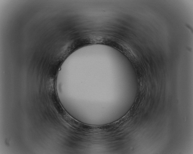 X0000092320598200709141052