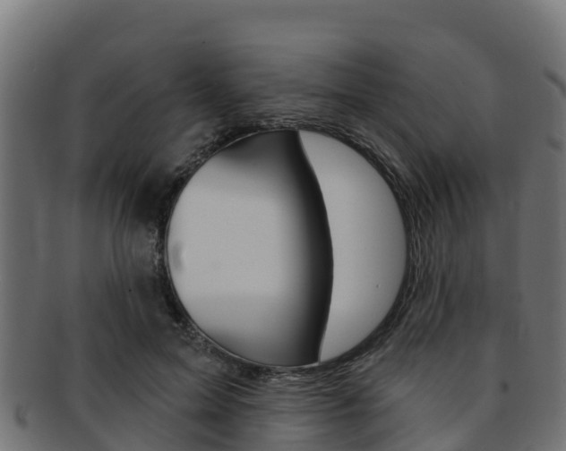 X0000092320599200709141052