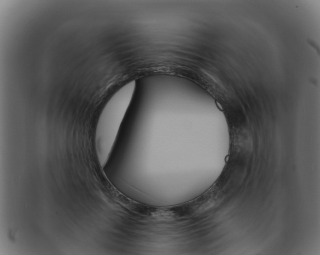 X0000092320603200709141052