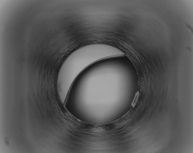 X0000092320604200709141052