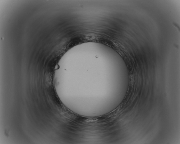 X0000092320606200709141052