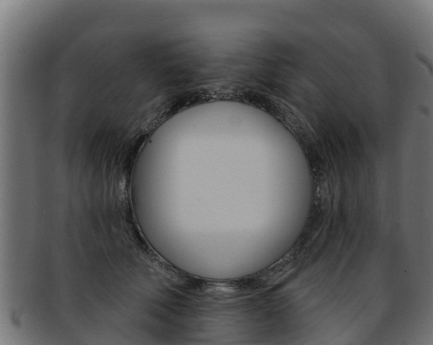 X0000092320610200709141052