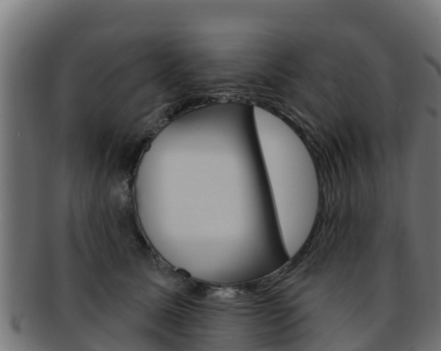 X0000092320611200709141052