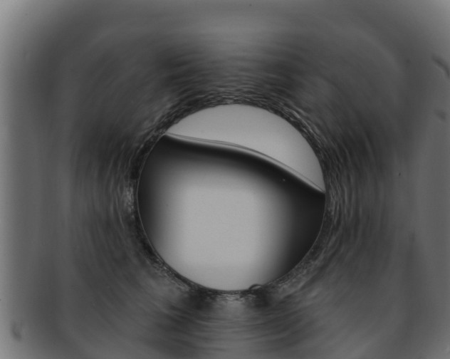 X0000092320613200709141052