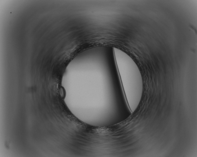 X0000092320615200709141052