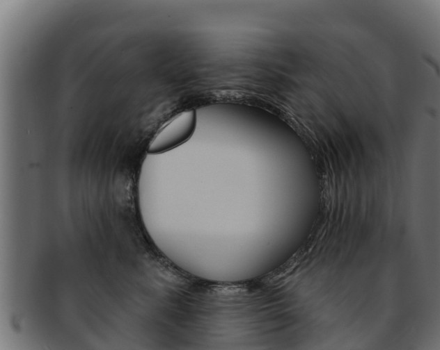X0000092320619200709141052