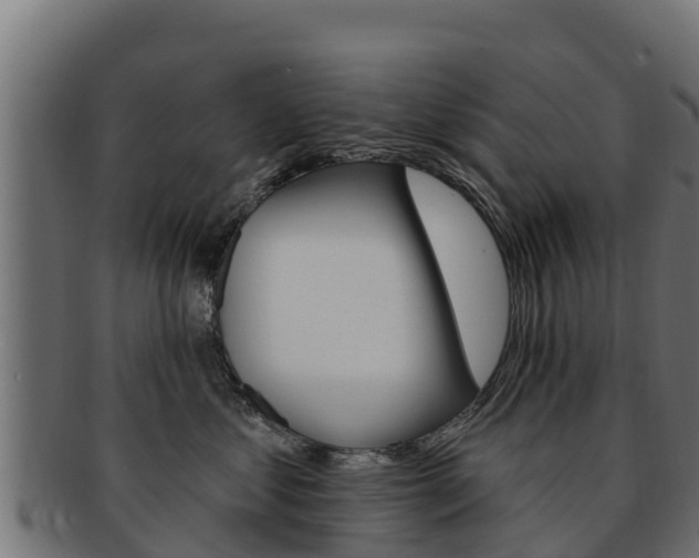 X0000092320621200709141052
