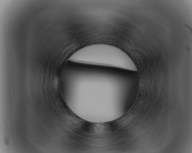 X0000092320623200709141052