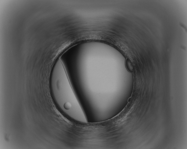 X0000092320625200709141051