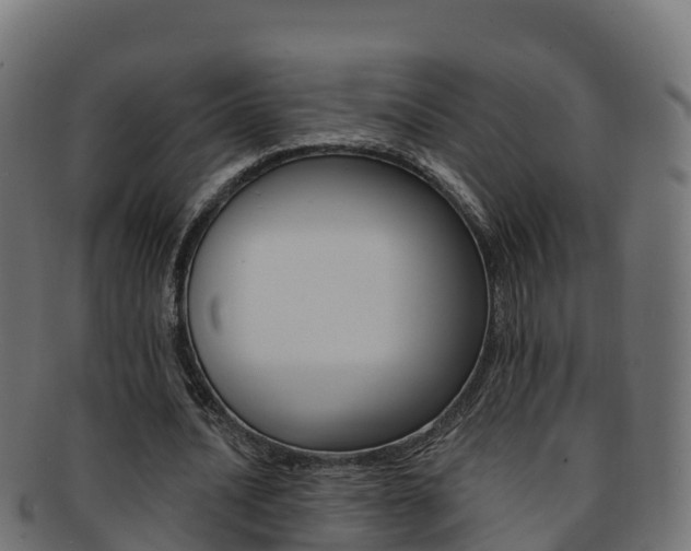 X0000092320628200709141051