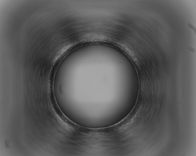 X0000092320629200709141051
