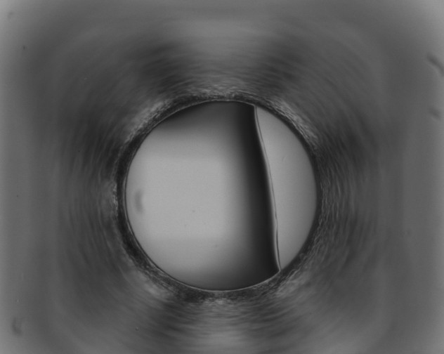 X0000092320634200709141051