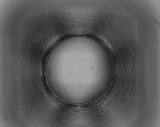 X0000092320635200709141051