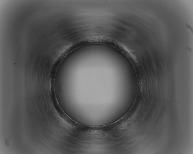 X0000092320637200709141051