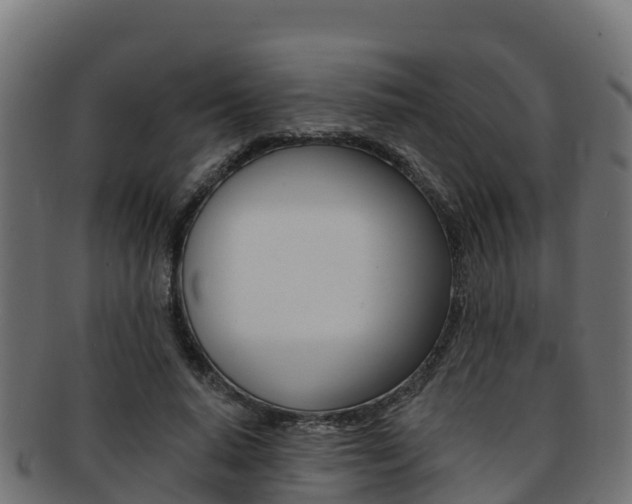 X0000092320640200709141051