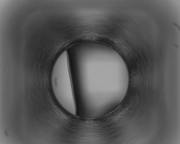 X0000092320641200709141051