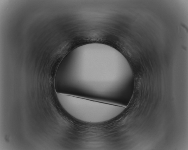 X0000092320643200709141051