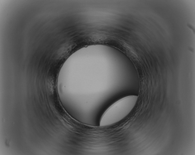 X0000092320644200709141051