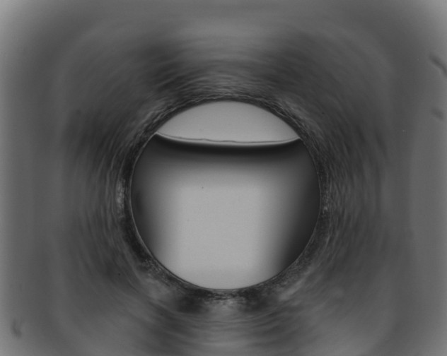 X0000092320646200709141051