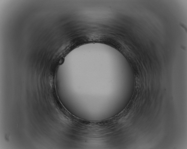 X0000092320648200709141051