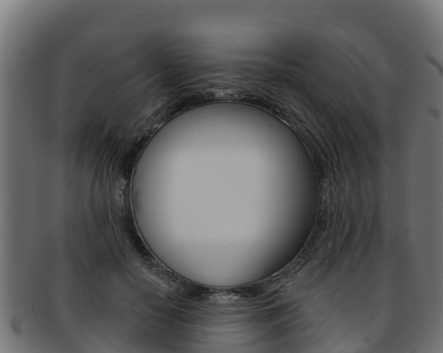 X0000092320650200709141051