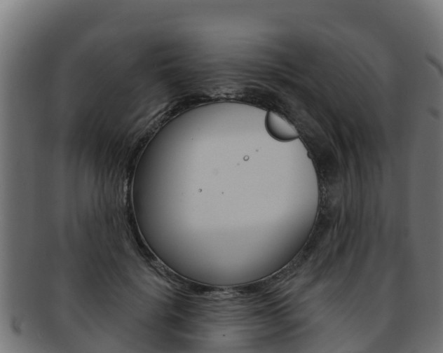X0000092320652200709141051