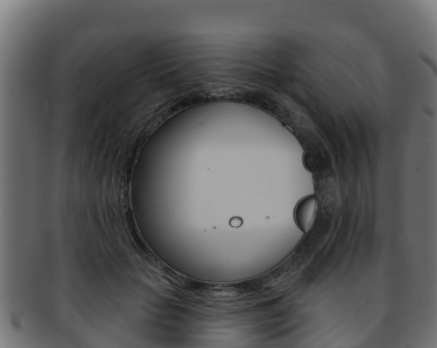 X0000092320653200709141051