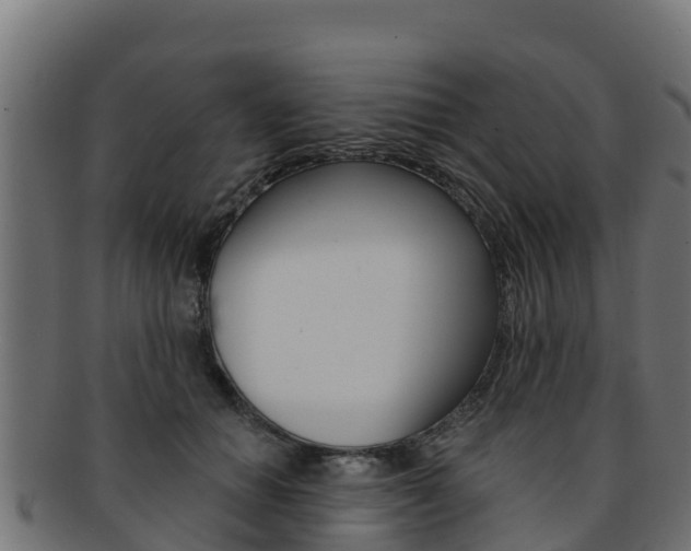X0000092320654200709141051