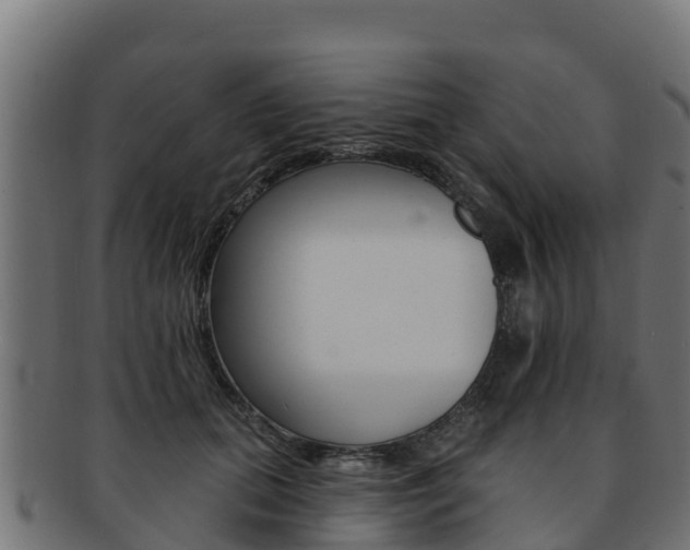 X0000092320655200709141051