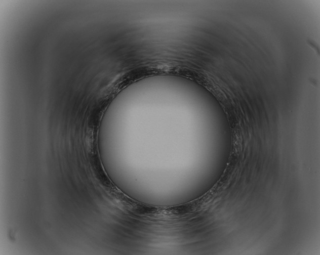 X0000092320656200709141051