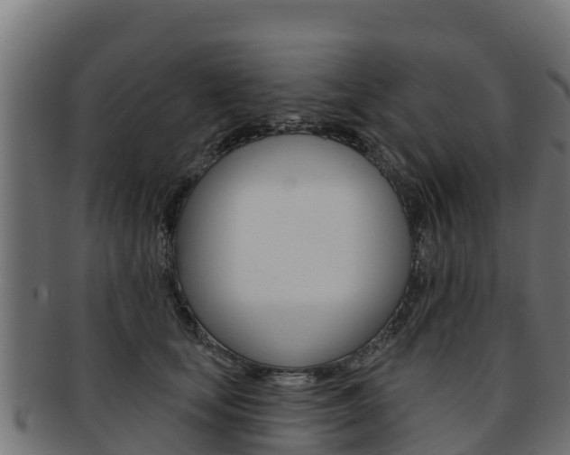 X0000092320659200709141051