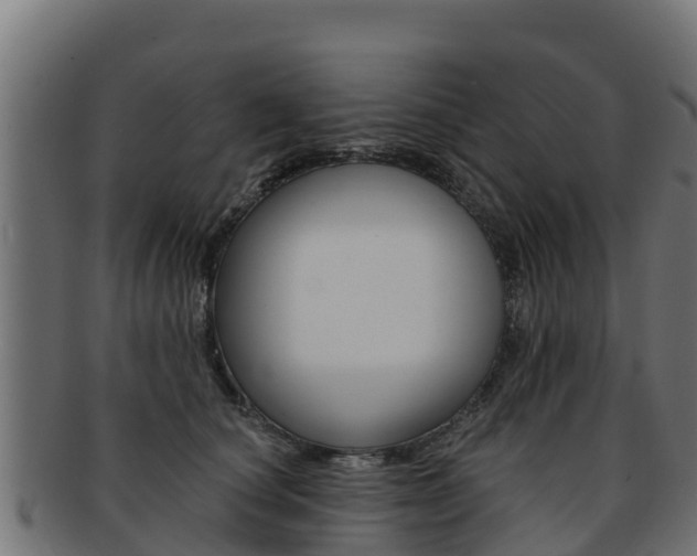 X0000092320660200709141051