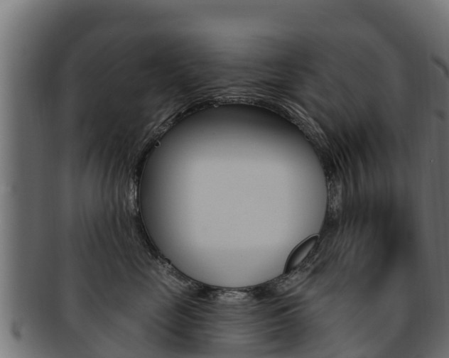 X0000092320669200709141051