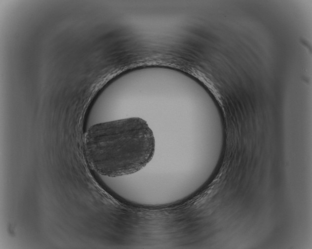 X0000092320673200709141051