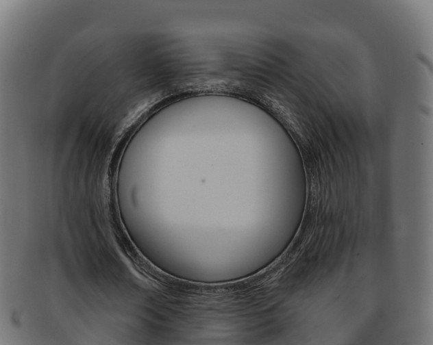 X0000092320674200709141051