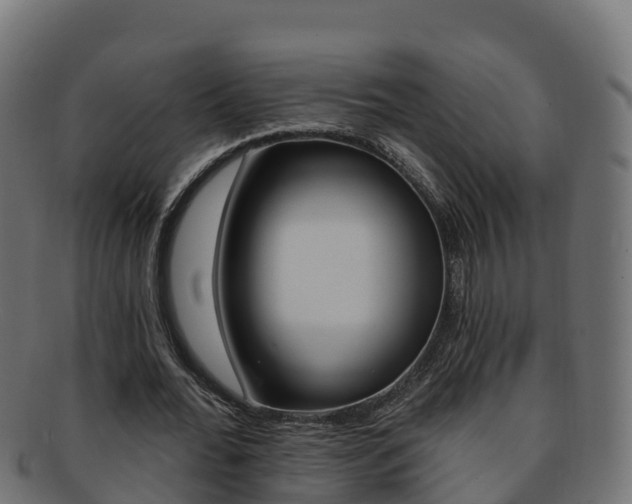 X0000092320676200709141051