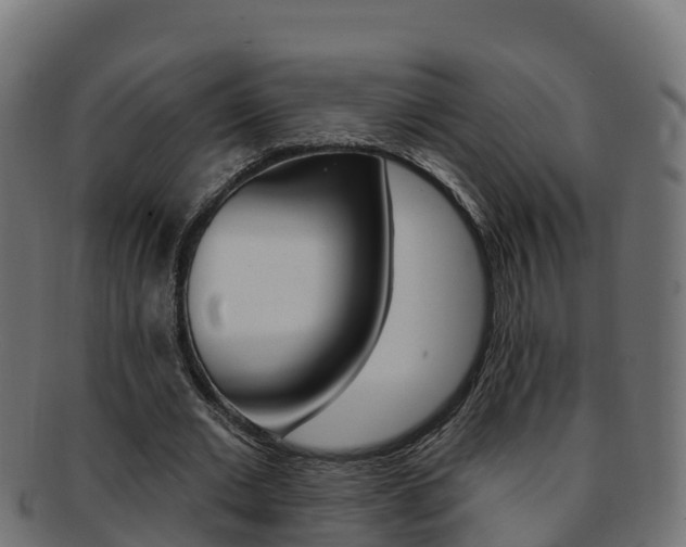 X0000092320677200709141051