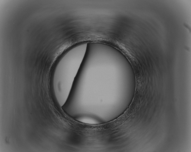 X0000092320679200709141051