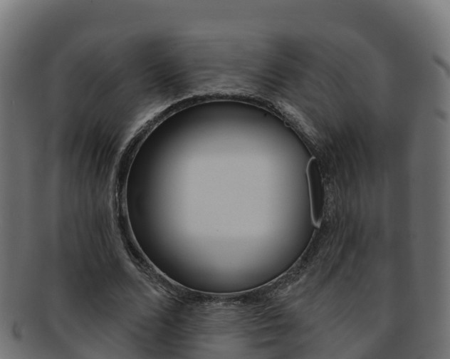 X0000092320680200709141051
