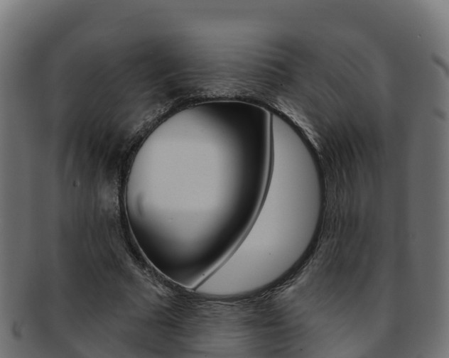 X0000092320681200709141051