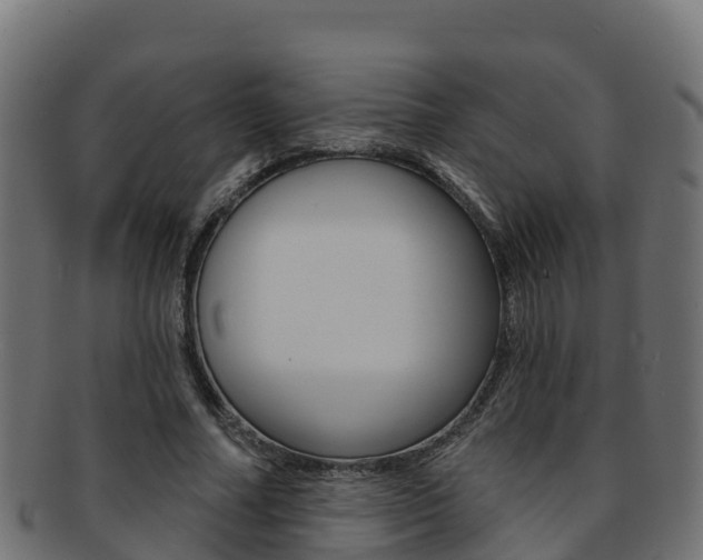 X0000092320682200709141051