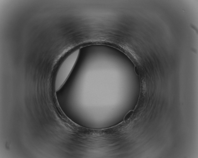 X0000092320684200709141051