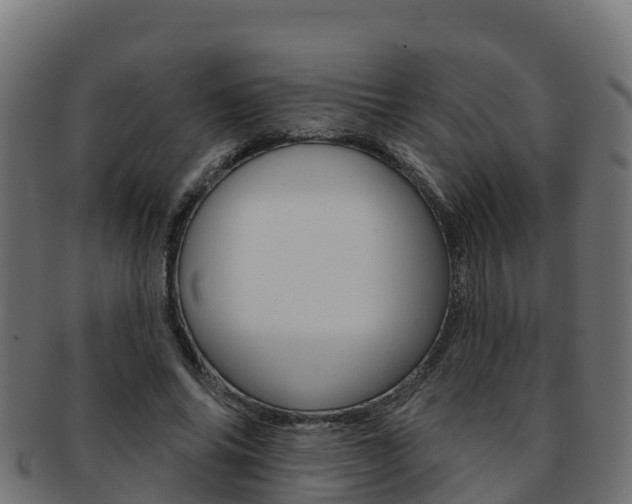 X0000092320686200709141051