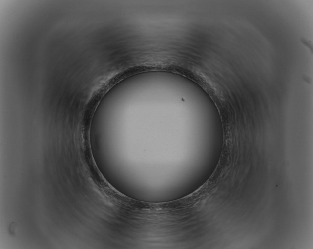 X0000092320688200709141051