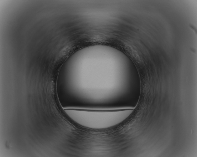 X0000092320689200709141051