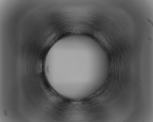 X0000092320694200709141051