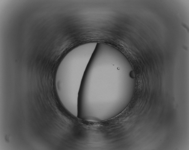 X0000092320695200709141051