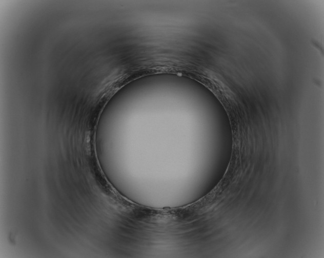 X0000092320696200709141051