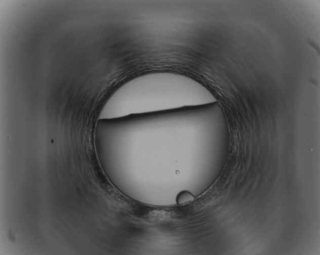 X0000092320699200709141050