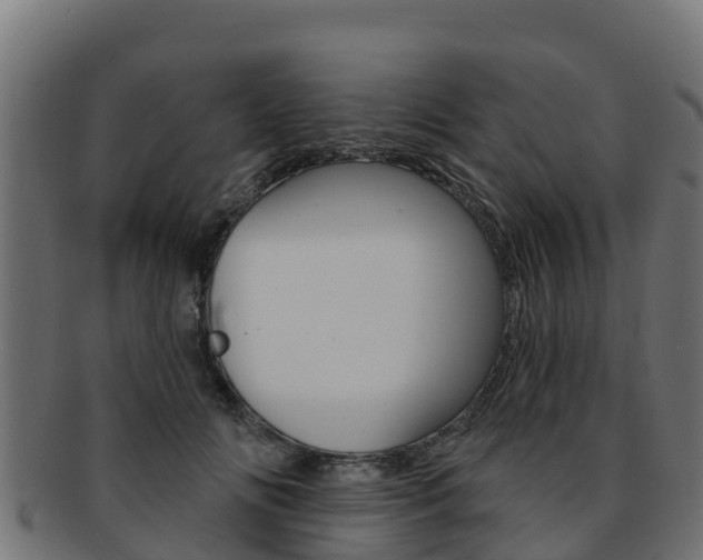 X0000092320702200709141050